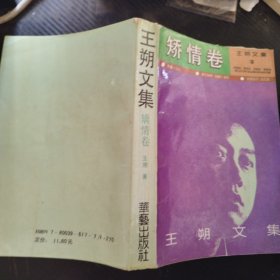 王朔文集 矫情卷