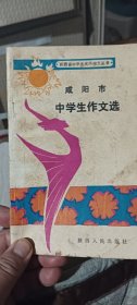 陕西省中学生优秀作文丛书