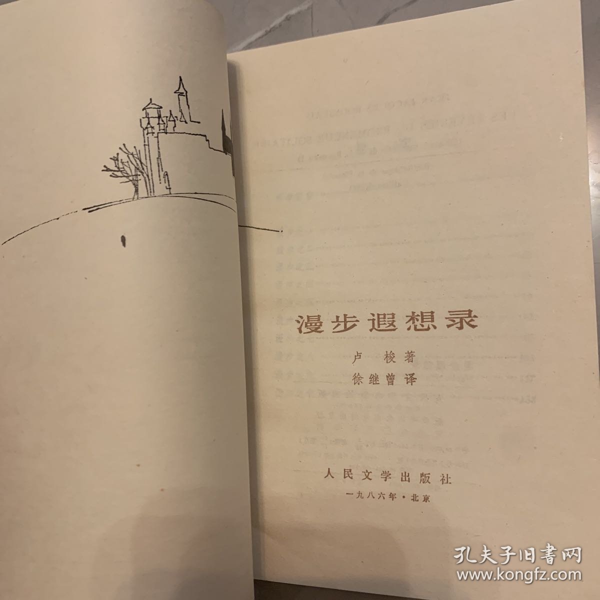 漫步遐想录