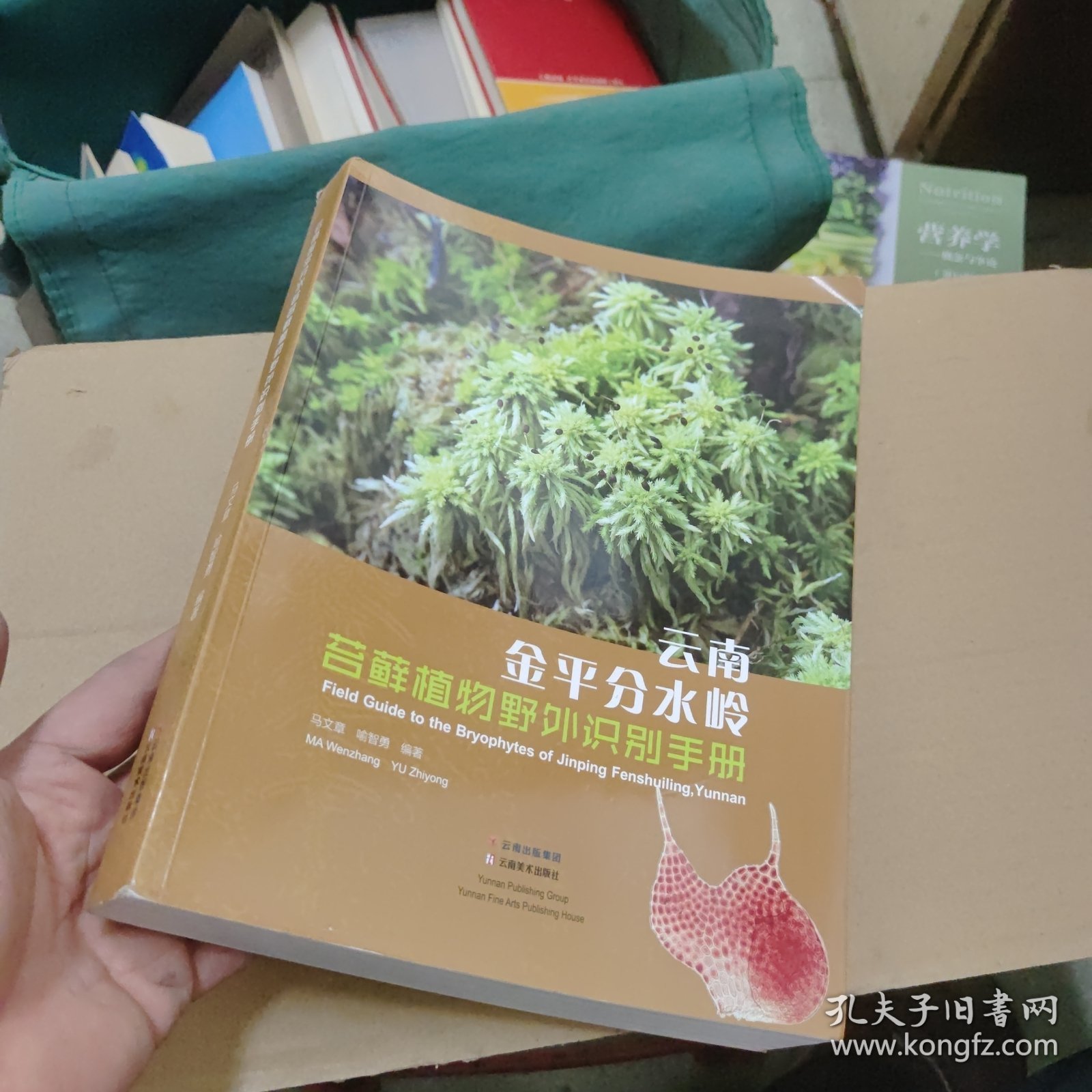 云南金平分水岭苔藓植物野外识别手册