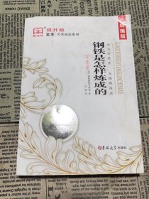 钢铁是怎样炼成的（全译本）