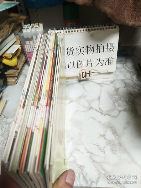 肚子里有个火车站：德国精选科学图画书