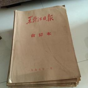 黑龙江日报合订本1995年1-12月全[代售]