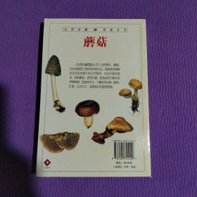 蘑菇：全世界500多种蘑菇的彩色图鉴