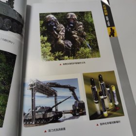 化学武器：防御与销毁