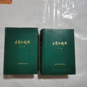 中药大辞典 上下 （缩印本全两册）