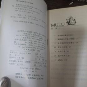 假魔法学校的真魔法师（儿童文学经典版）