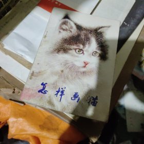 怎样画猫