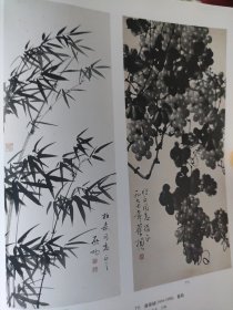 散页美术资料（印刷品）———国画——墨竹【启功】，葡萄【苏葆桢】，同结岁寒心【康师尧】，八骏图【赵敬予】，富贵长春【汤禄名】，富贵长春【陈半丁】，白菜草虫图【齐白石】2066