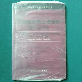 心理治疗核心能力系列丛书·药物治疗与心理治疗（翻译版）