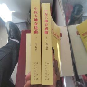 中原大地奋进曲：20 世纪90 年代振兴河南的探索与实践（上下）