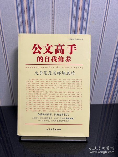 公文高手的自我修养：大手笔是怎样炼成的