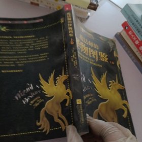 魔法师的怪物图鉴.上卷