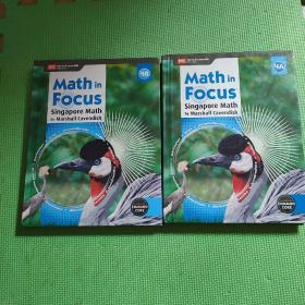 math in focus singapore math by marshall cavendish（4A 4B）