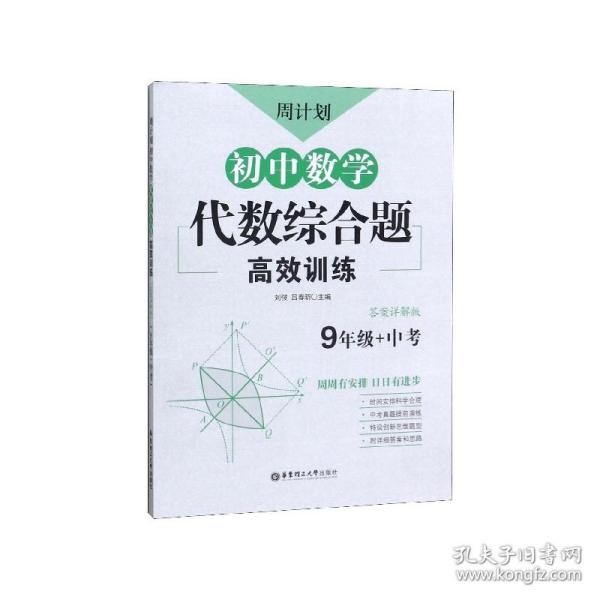 周计划：初中数学代数综合题高效训练（9年级+中考）