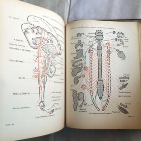 LA VIE CARACTERES MAINTIEN TRANSMISSION   ENCYCLOPEDIE FRANCAISE  法语生活百科全书  外文古旧书 民国老外文书  1937年  12开