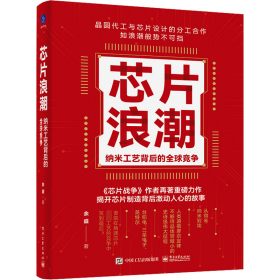 芯片浪潮： 纳米工艺背后的全球竞争