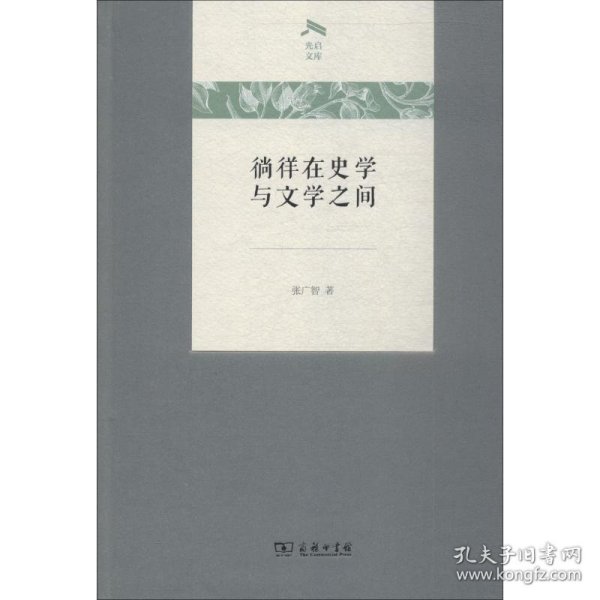 徜徉在史学与文学之间(光启文库)