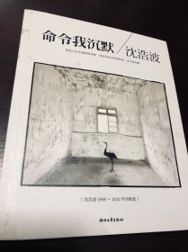 命令我沉默：沈浩波1998～2012年诗歌选