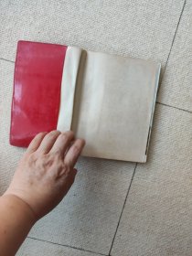 团结起来争取更大的胜利日记（一个人写的日记）