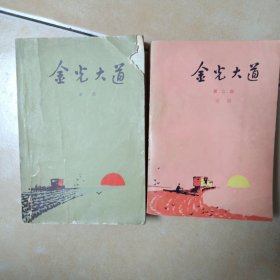 金光大道..两册.......E8