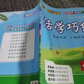 世纪金榜活学巧练地理七年级下册RJ