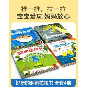 好玩的洞洞拉拉书 第二辑 全4册 0-3岁宝宝撕不烂推拉3d立体机关书 婴幼儿早教益智精装书 创意大师洞洞翻翻书 奇妙洞洞书