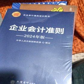 企业会计准则（2024年版）