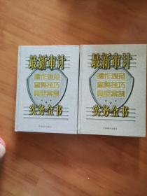 最新审计操作规范·查弊技巧·典型案例实务全书，上下册