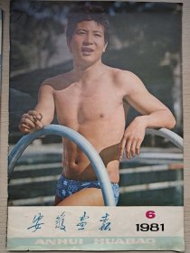 安徽画报1981年(6期)