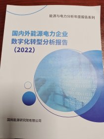 能源与电力分析年度报告系列国内外能源电力企业数字化转型分析报告