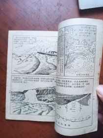 通俗科学知识图画（第二辑）自然科学知识 第八种 海洋