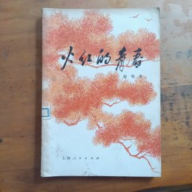 火红的青春