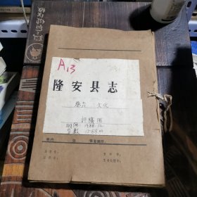 隆安县志（评稿用，手抄，约80万字）