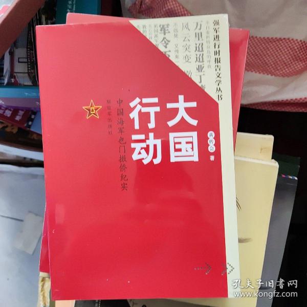 大国行动：中国海军也门撤侨纪实/强军进行时报告文学丛书