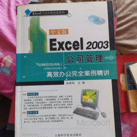 中文版Excel 2003公司管理：高效办公完全案例精讲