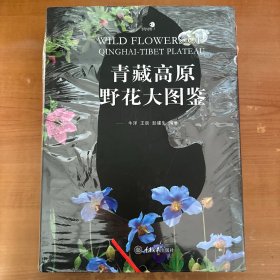 青藏高原野花大图鉴（精装）