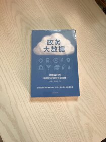 政务大数据：赋能政府的精细化运营与社会治理