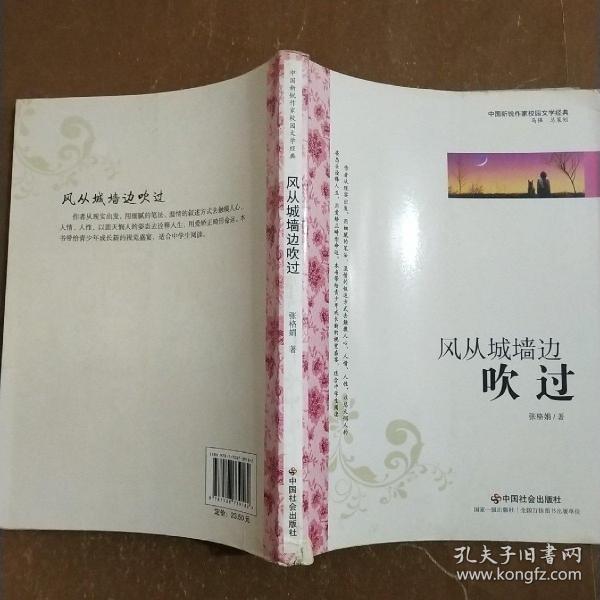 中国新锐作家校园文学经典：风从城墙边吹过