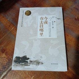 鲁迅文学奖获奖作家经典文集：今夜你去往哪里.