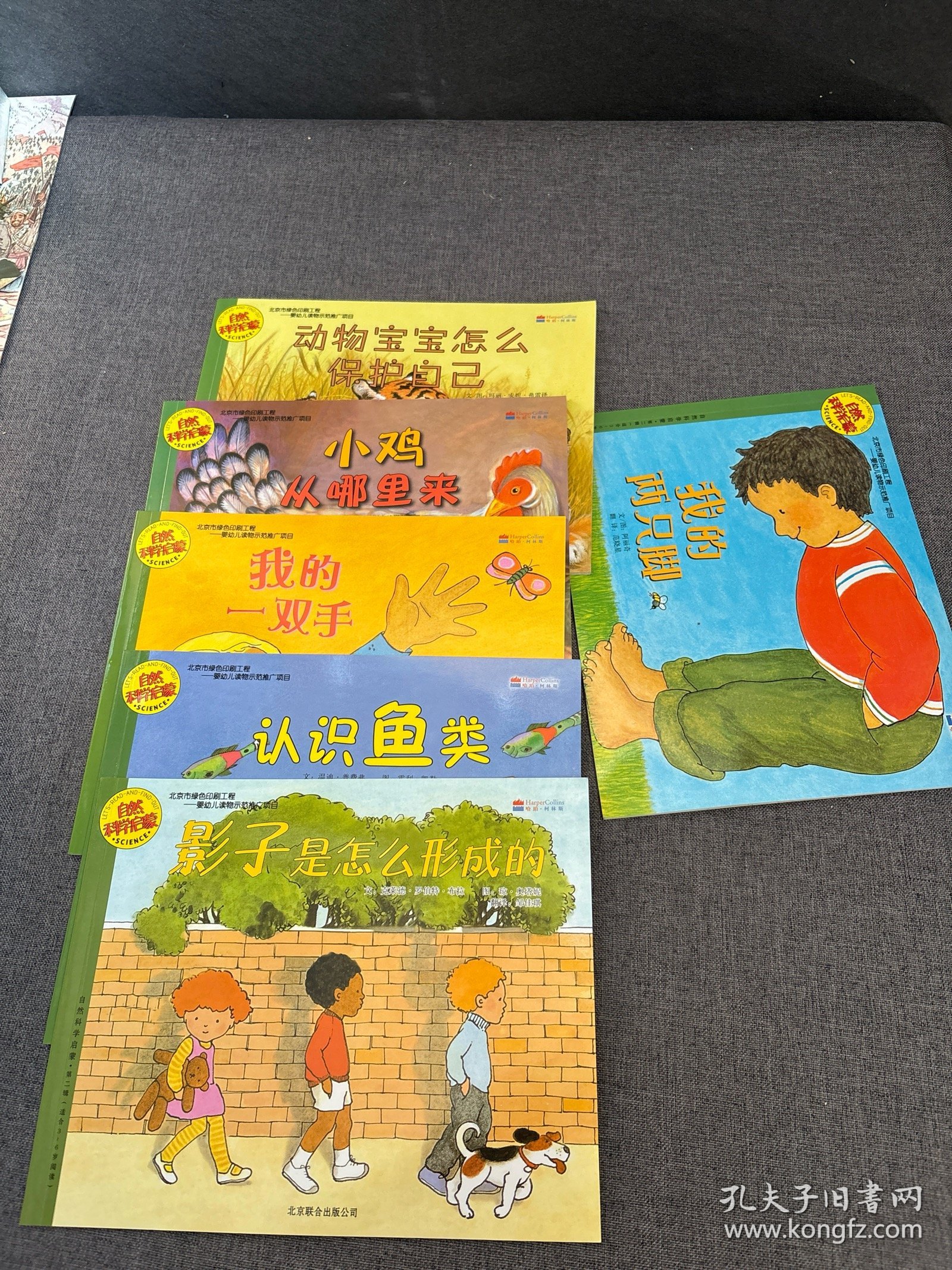 自然科学启蒙 第二辑 影子是怎么形成的 我的一双手 我的两只脚 认识鱼类 小鸡从哪里来 动物宝宝怎样保护自己 6册