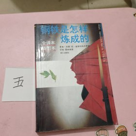 钢铁是怎样炼成的