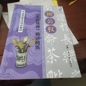 书法等级考试培训教材：颜真卿<多宝塔碑>精讲精练