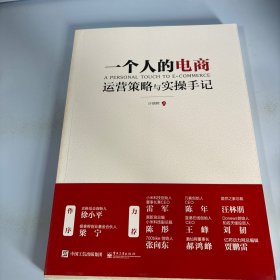 一个人的电商：运营策略与实操手记