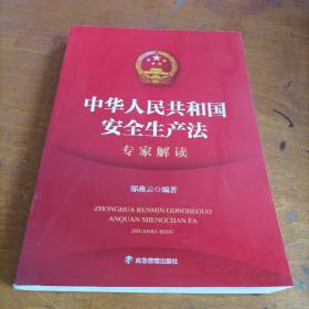 中华人民共和国安全生产法专家解读