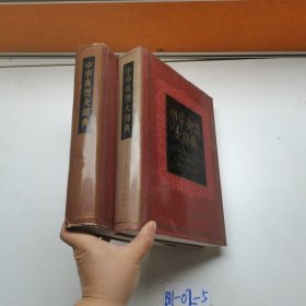 中华英烈大辞典上下