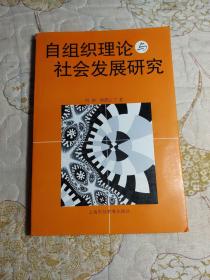 自組織理論與社會(huì)發(fā)展研究