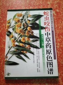 蛇虫咬伤中草药原色图谱【正版绝版 名家主编 本书收载治蛇虫咬伤中草药50种及每种的彩色照片图，每种按名称、来源、形态、生境分布、采收加工、性能、用量、禁忌、验方等项编写，还收载验方322条。】