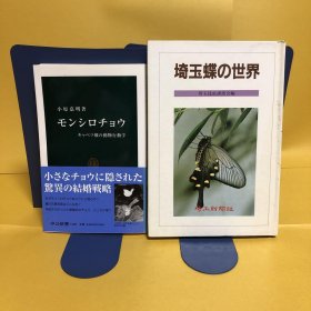 日文 モンシロチョウ : キャベツ畑の動物行動学