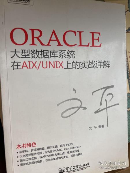 Oracle大型数据库系统在AIX/UNIX上的实战详解